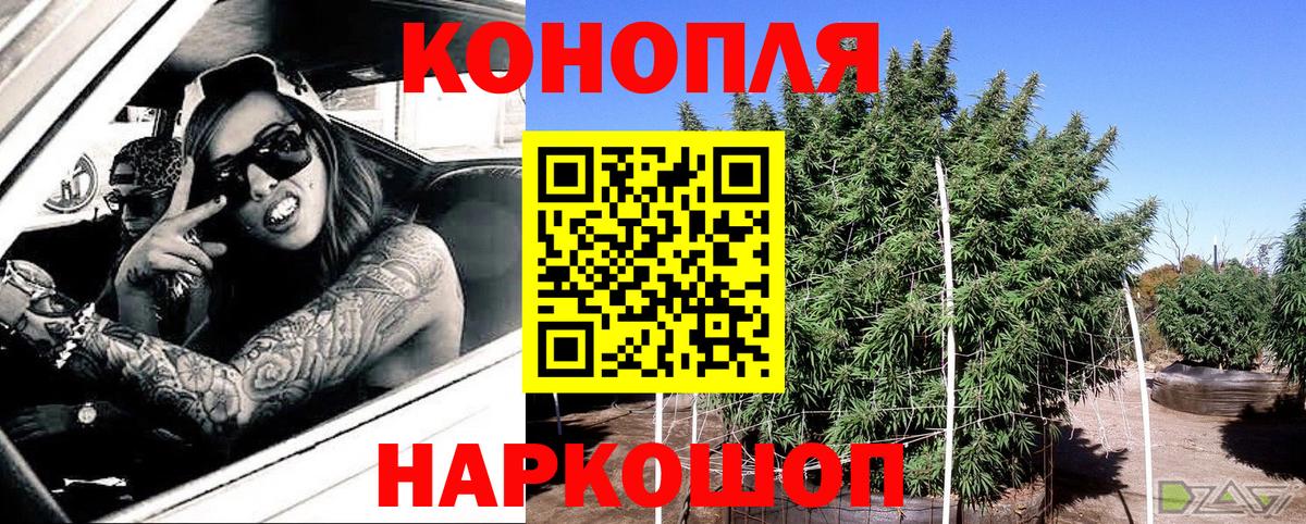 Бошки марихуана план  Вход с VPN  МАРИХУАНА индика  Шишки марихуана OG Kush  Светлоград 
